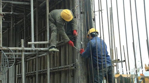 涔天河水库扩建工程道县灌区项目 六月通水目标稳步推进